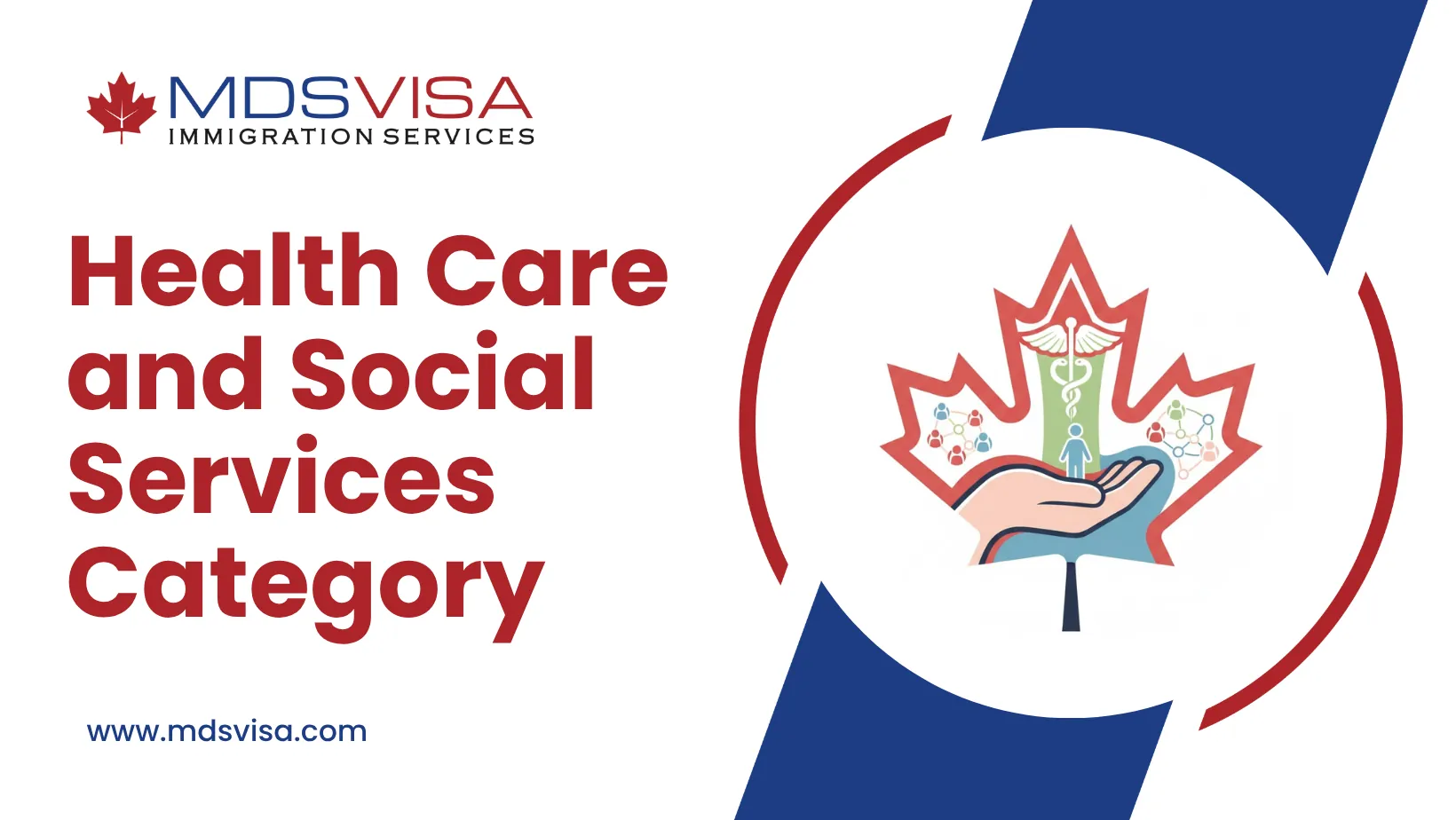 Health Care and Social Services Category